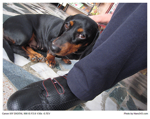 一騎樂台灣_翰斯篇_Day0_30