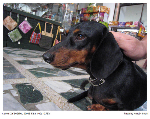 一騎樂台灣_翰斯篇_Day0_32