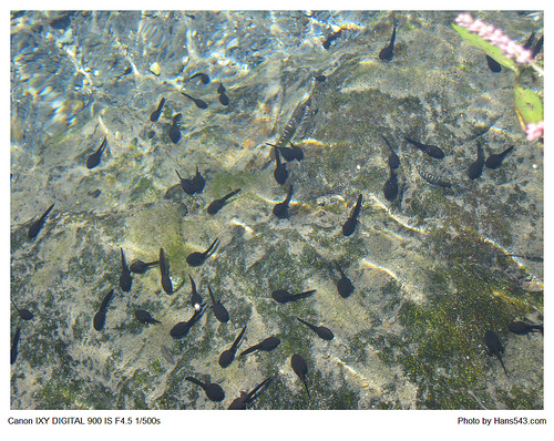 一騎樂台灣_翰斯篇_Day3_49