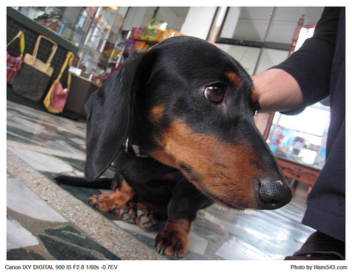 一騎樂台灣_翰斯篇_Day0_35