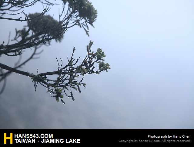 JiamingLake_179