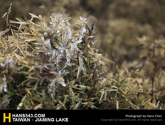 JiamingLake_182