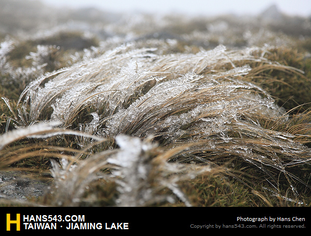 JiamingLake_195