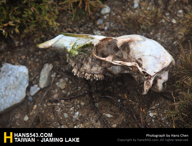 JiamingLake_184