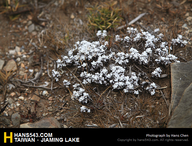 JiamingLake_258