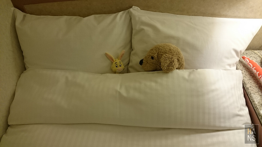 道頓堀水上觀光船