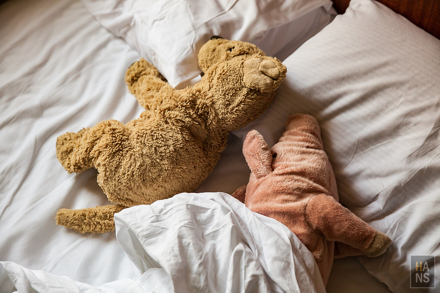 北海道瀧野鈴蘭丘陵公園