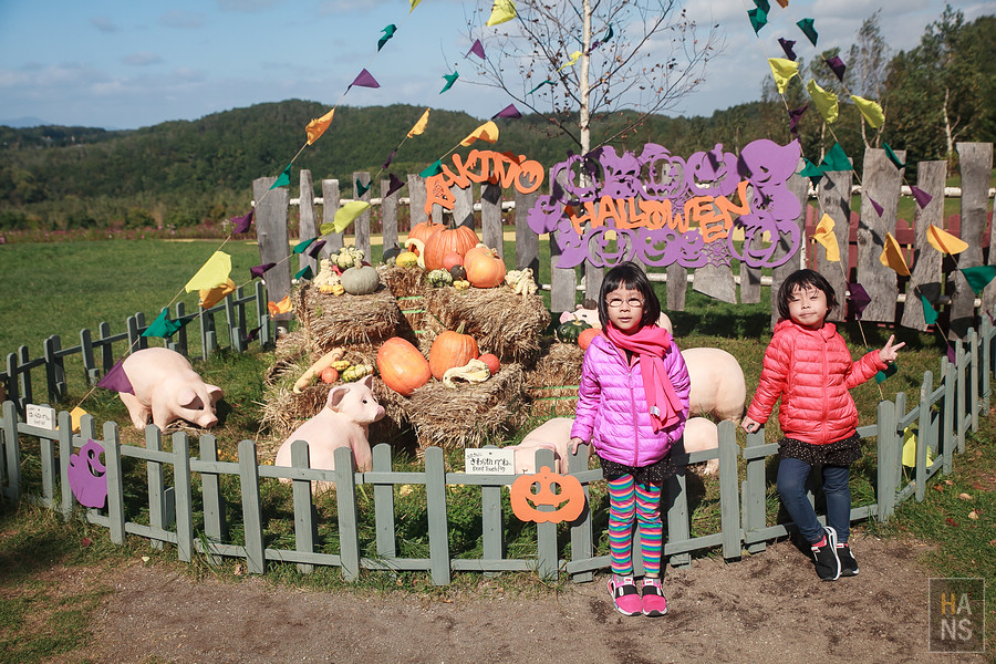 北海道瀧野鈴蘭丘陵公園