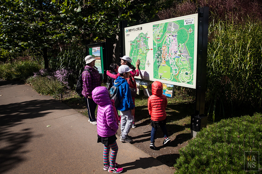 北海道瀧野鈴蘭丘陵公園