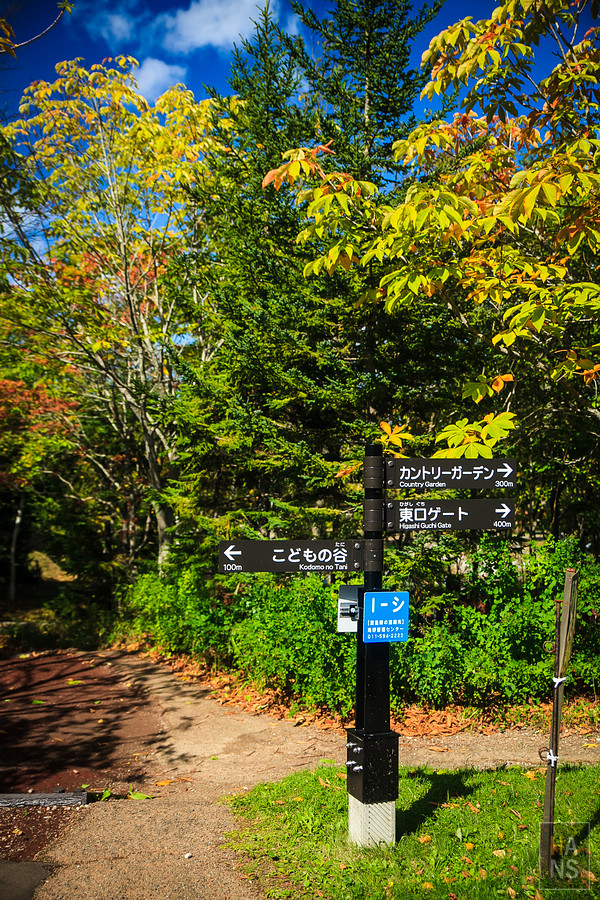 北海道瀧野鈴蘭丘陵公園