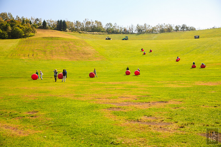北海道瀧野鈴蘭丘陵公園