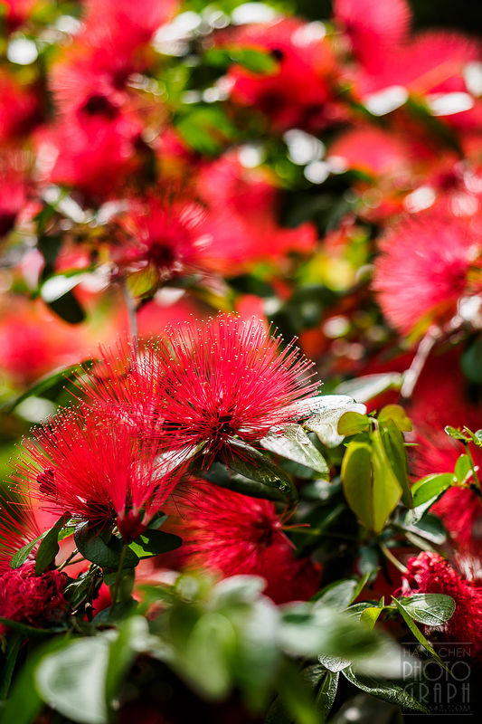 薰衣草森林明德店