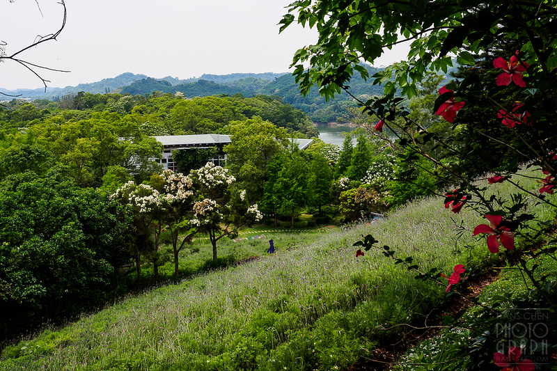 薰衣草森林明德店
