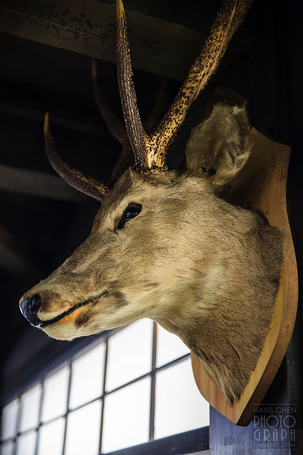 千葉縣鄉土料理-千壽惠