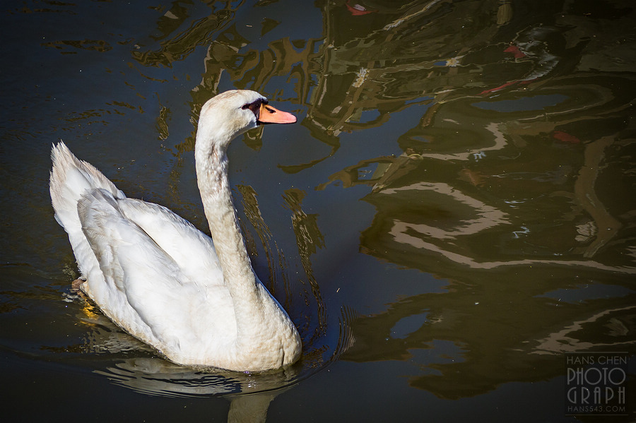 千葉小江戶香取市佐原老街