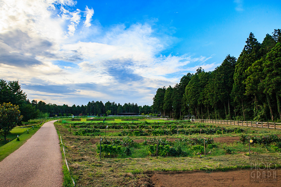 千葉 THE FARM 豪華露營體驗