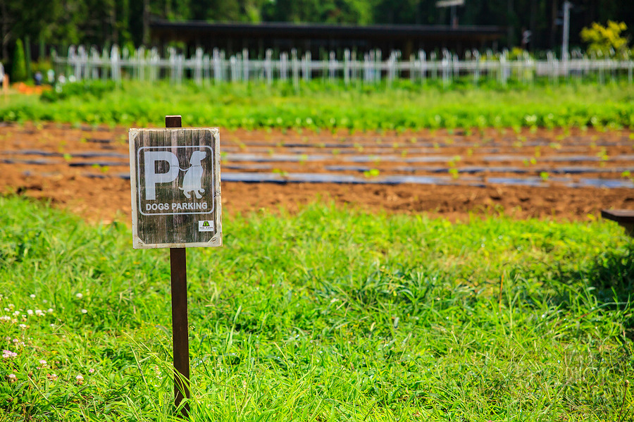 千葉 THE FARM 豪華露營體驗