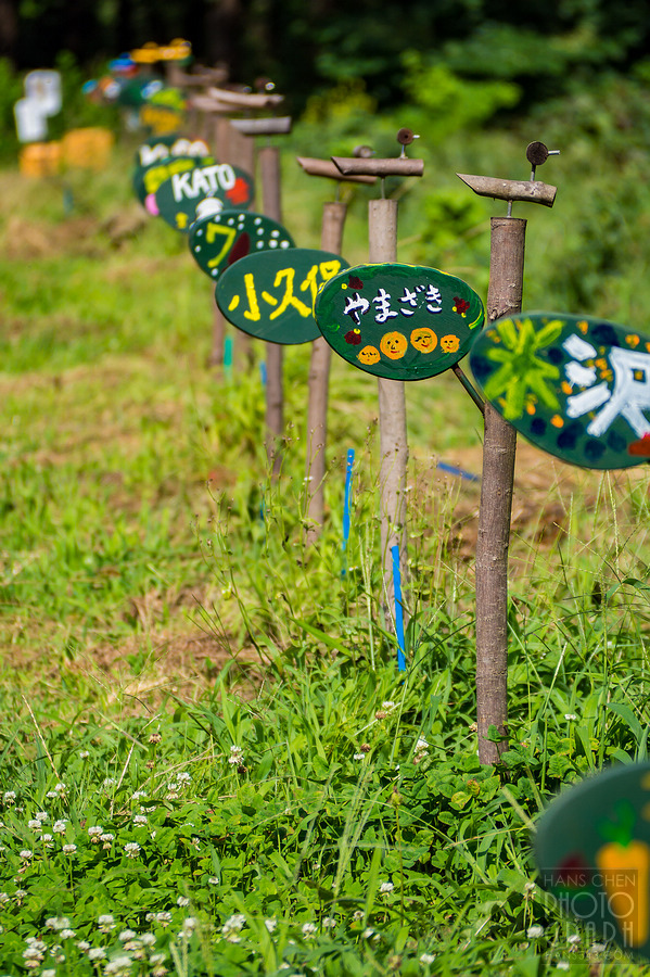 千葉 THE FARM 豪華露營體驗