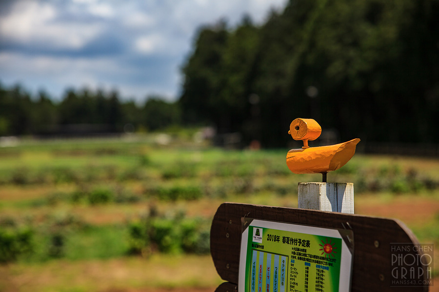 千葉 THE FARM 豪華露營體驗