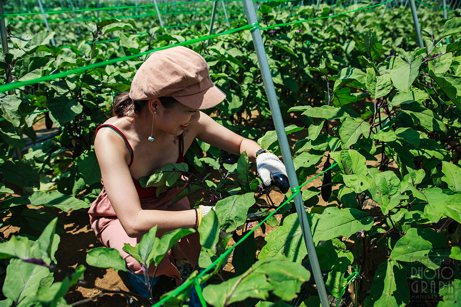 千葉 THE FARM 豪華露營體驗