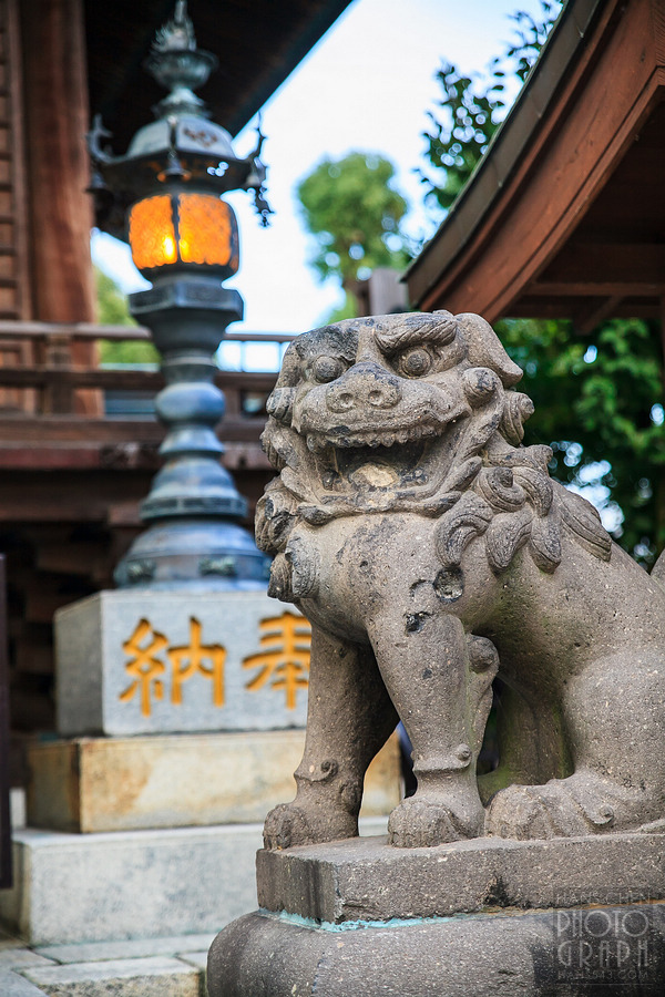 久留米水天宮夕景