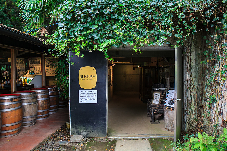 久留米紅乙女酒造巨峰葡萄酒園