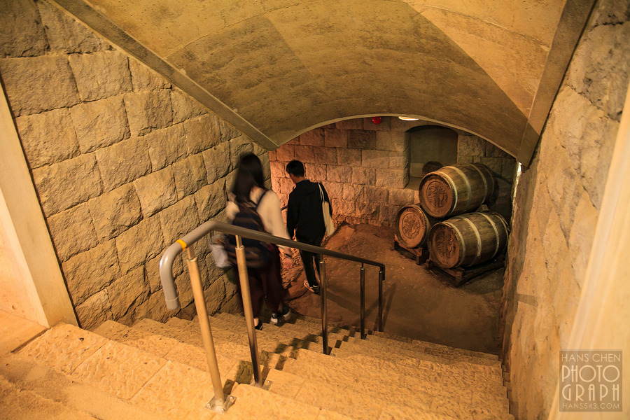 久留米紅乙女酒造巨峰葡萄酒園