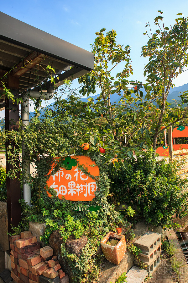 久留米右田果樹園
