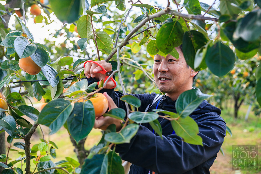 久留米右田果樹園