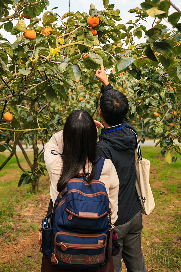 久留米右田果樹園