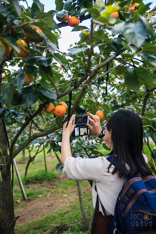 久留米右田果樹園