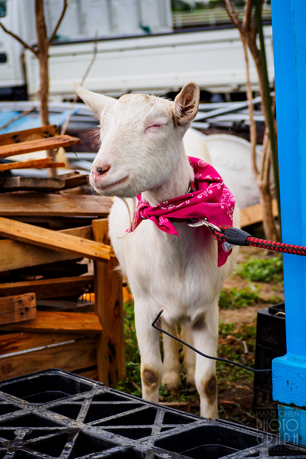 中村農園 Fruitelier