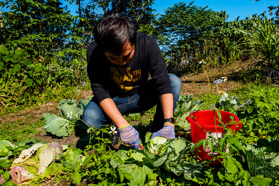 美崙山溫泉渡假山莊