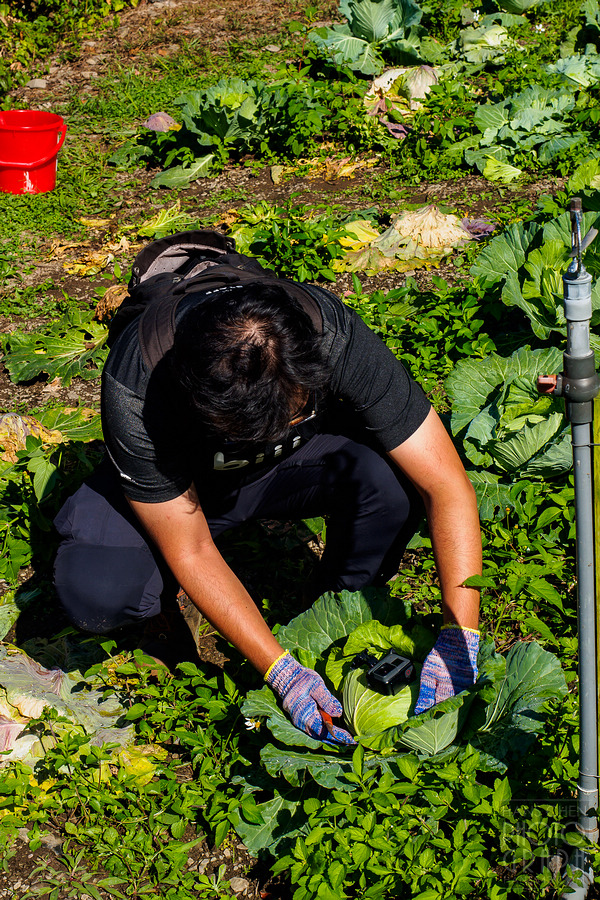 美崙山溫泉渡假山莊