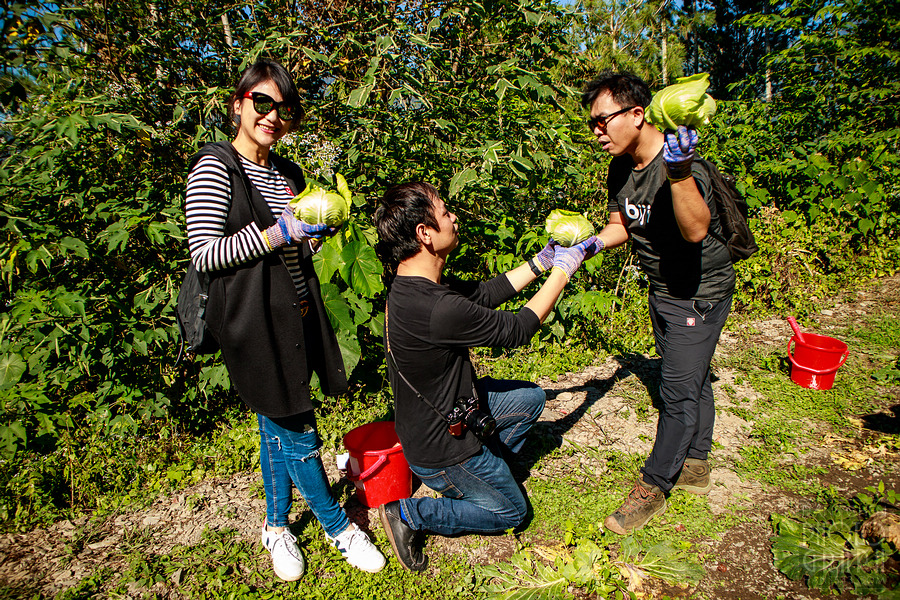 美崙山溫泉渡假山莊