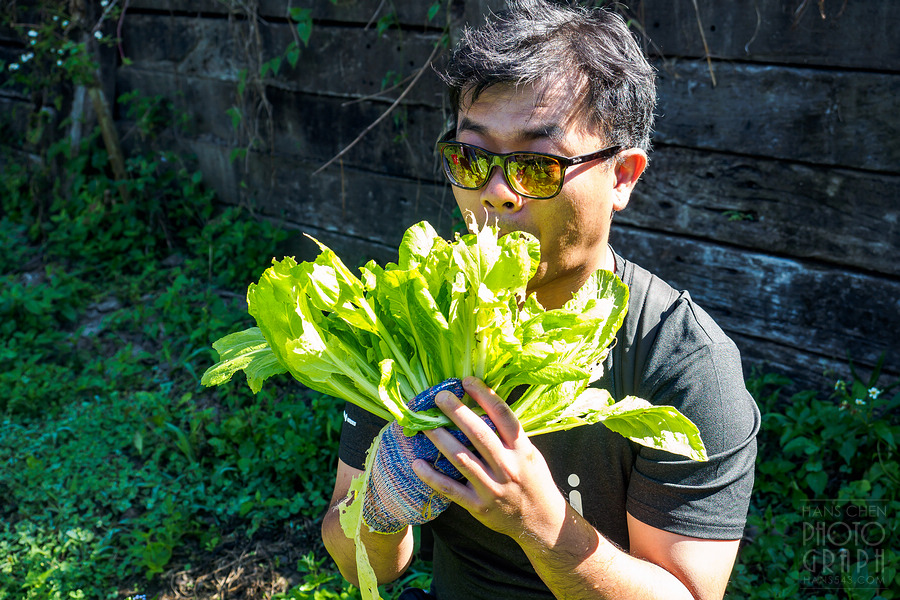 美崙山溫泉渡假山莊