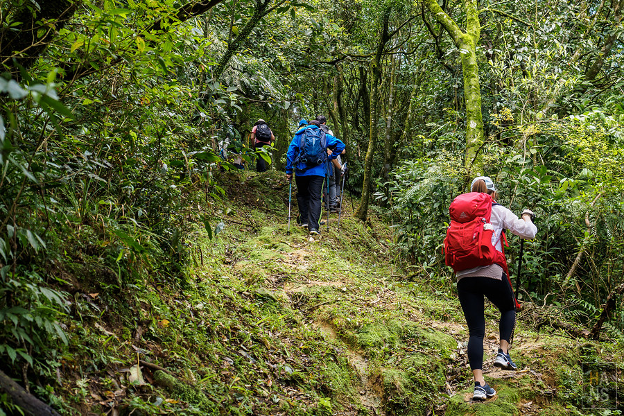 新北︱古道探訪趣,淡蘭古道之烏山古道段,綠油油森林浴抒解身心疲憊