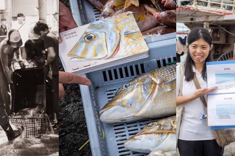 年年有鰆︱從產地到餐桌!澎湖魚市場深度體驗,達人導覽教你如何挑選永續海鮮,愛護海洋從食魚開始!