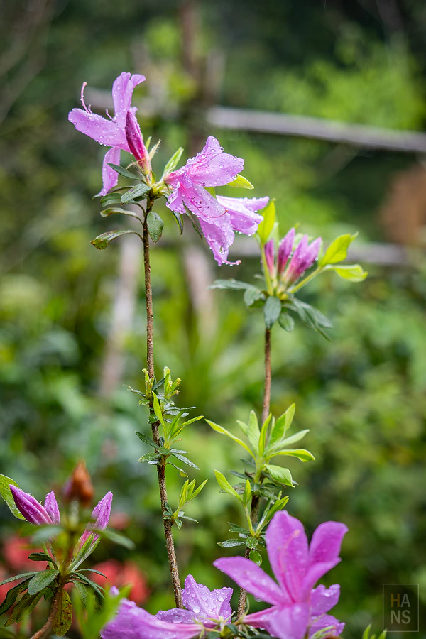 時光綠園︱十二寮時光村商圈