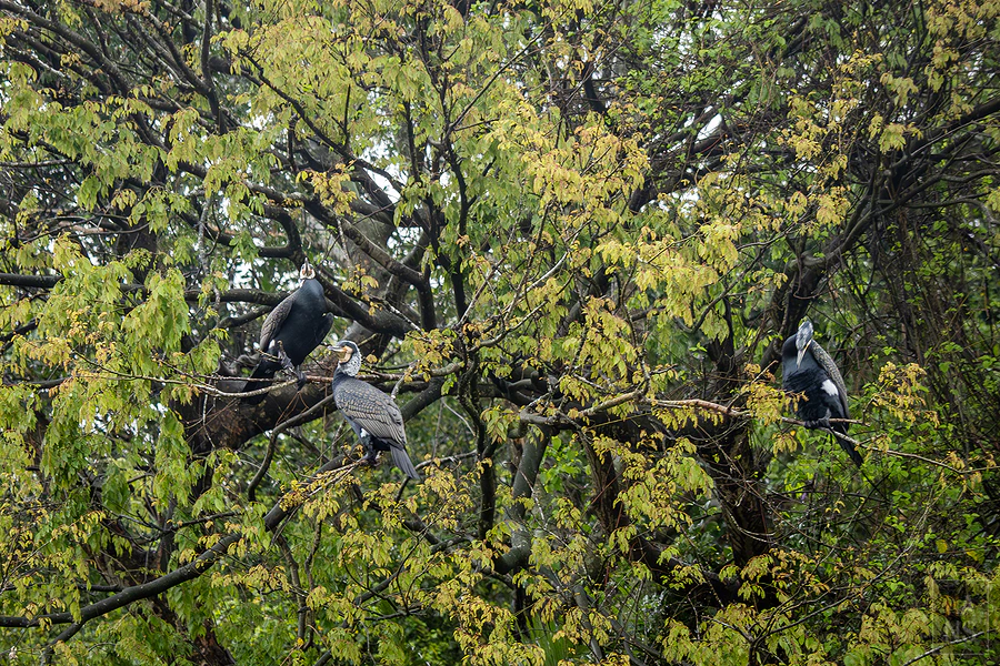 峨眉湖遊艇碼頭遊湖之旅︱新竹峨眉湖
