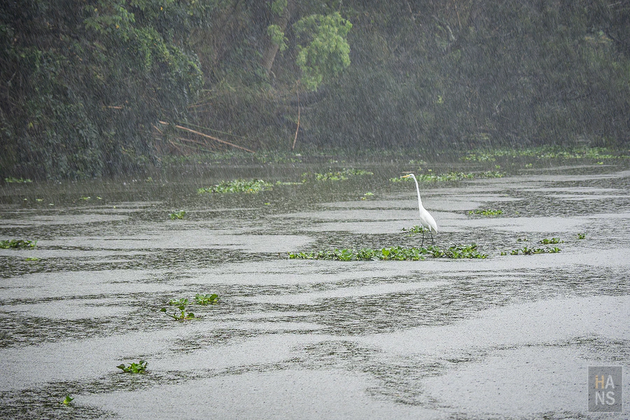 峨眉湖遊艇碼頭遊湖之旅︱新竹峨眉湖