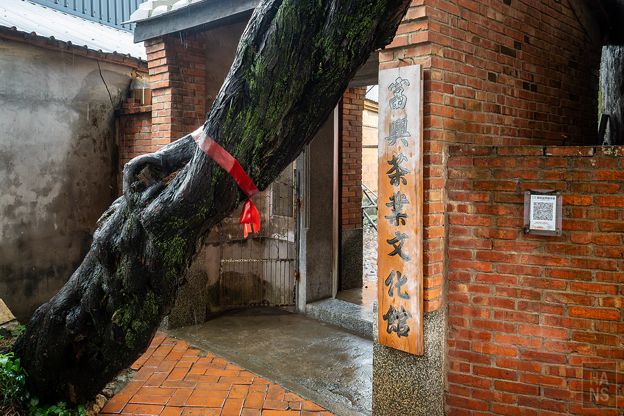 富興老茶廠︱新竹峨眉湖