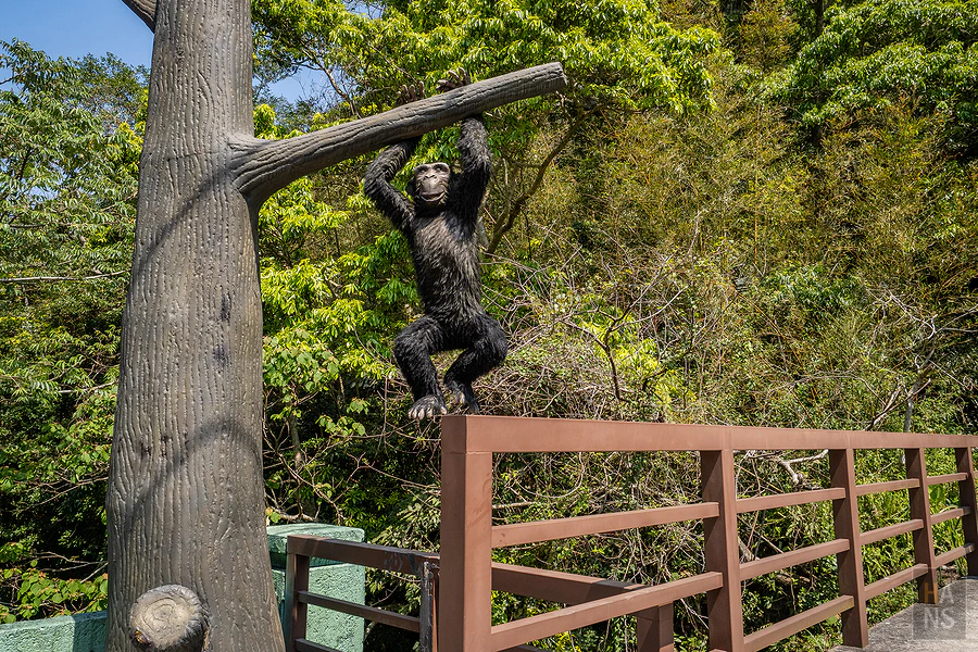 青蛙石天空步道