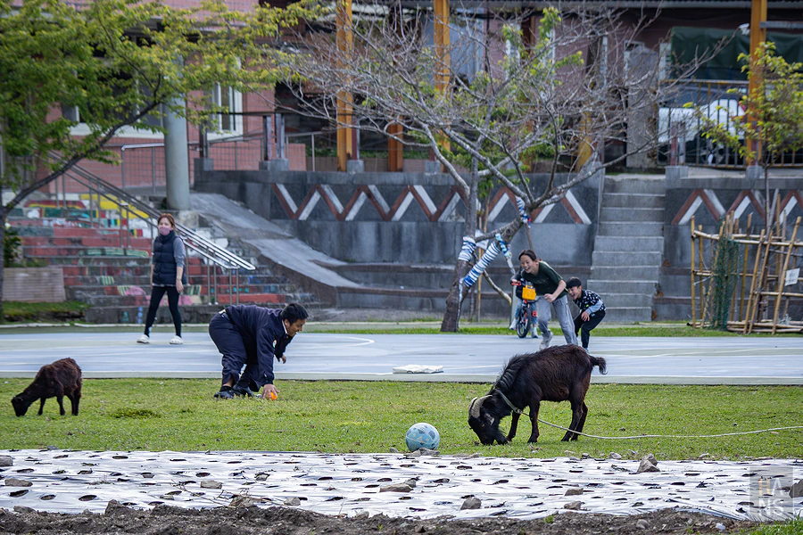 新竹縣尖石鄉新光國民小學
