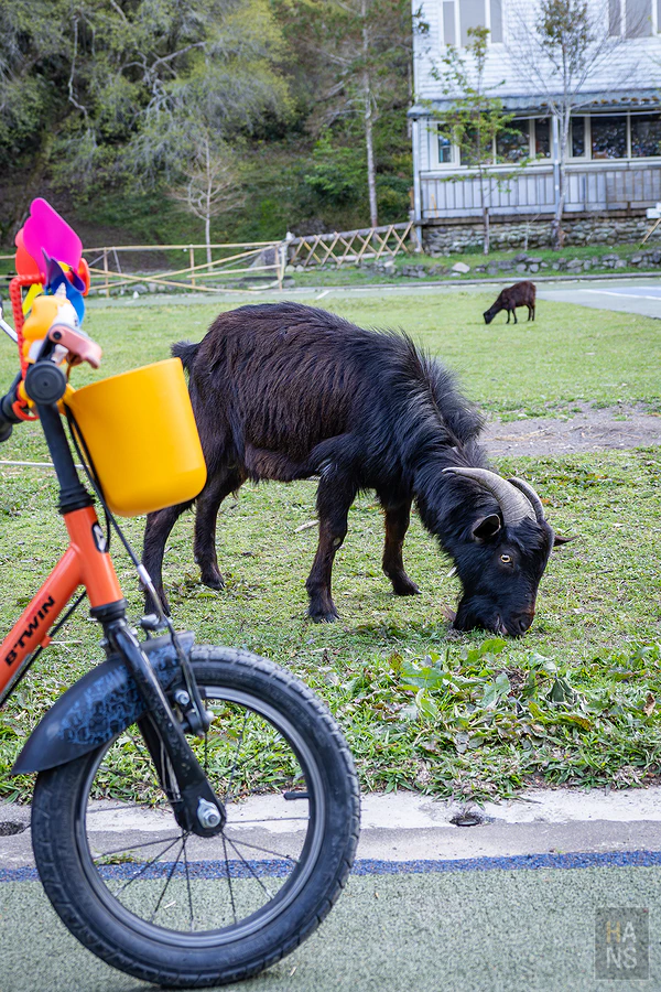 新竹縣尖石鄉新光國民小學