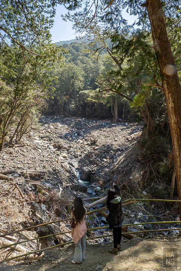 司馬庫斯，神木群步道