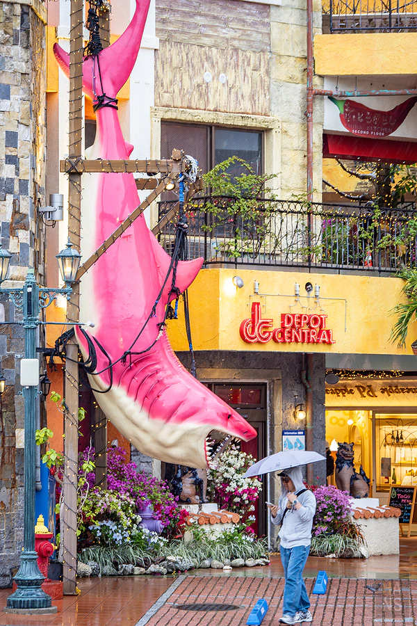 麗星郵輪探索星號