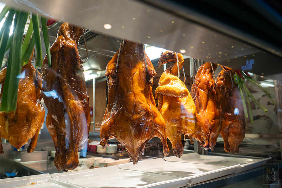 麗星郵輪探索星號