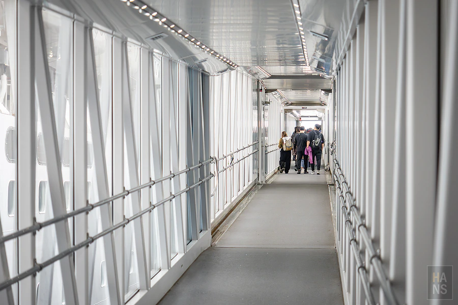 麗星郵輪探索星號