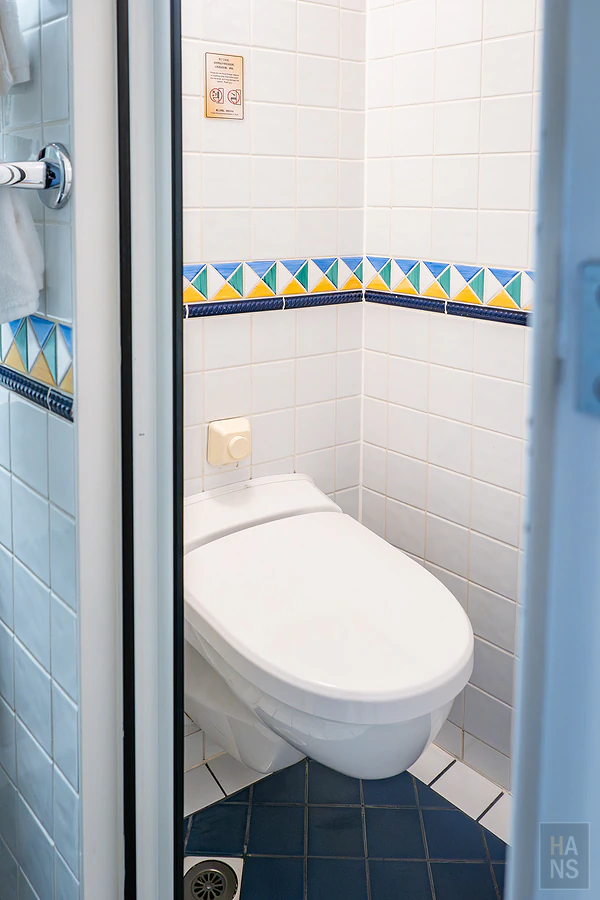 麗星郵輪探索星號